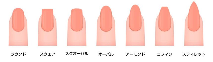 爪の形の種類